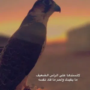 اسمر العجارمه 