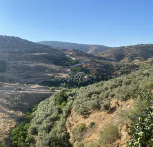 غيث صمادي 
