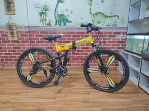 SPORTS INC gear cycle