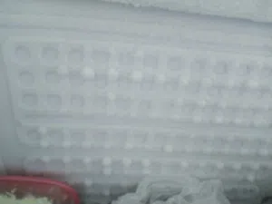 ثلاجه ام التفاحه فول