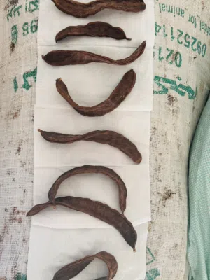 Others - Food - Supplements4