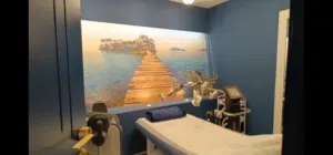 spa or beauty salon or slimi g center furniture for sale