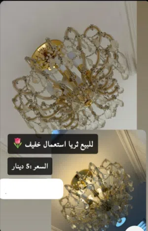 ثريا ما فيها شي الي يبيها يتواصل معاي