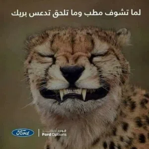 Ясир хорошо