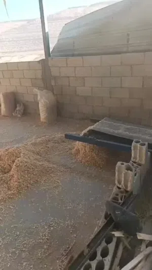 جاروشة خشب حوضين