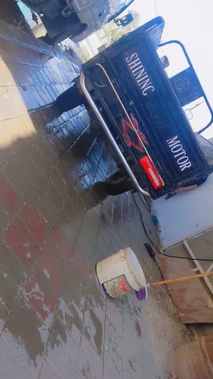ستوته صقر 2023 كفاله