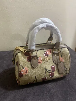 Lv, Fendi , Coach brand new master copy