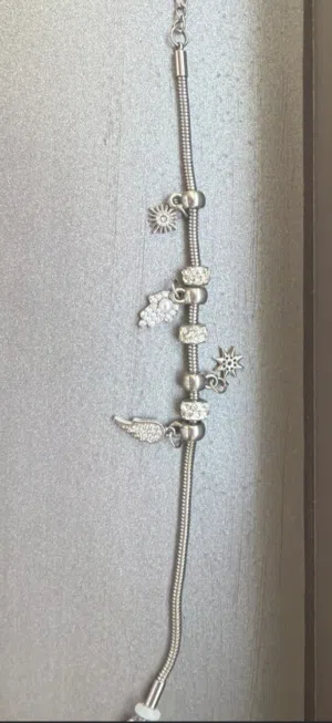 Silver bracelet with charms
