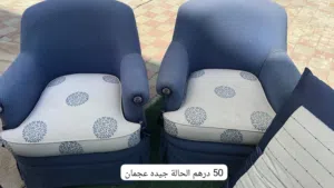 طقم كراسي مفردة (حبتين) أزرق وأبيض - سعر لقطة.