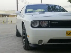 Used Dodge Challenger in Muscat