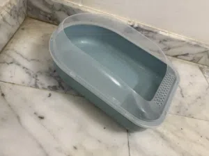 صندوق فضلات Litter box