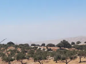 أجمل مناطق عمان الغربية بدر الجديده الكاشف ام عبهرة