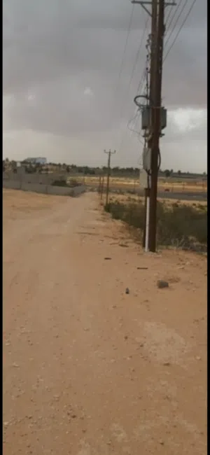 أرض زراعيه مساحتها 4300 القويعه الاوراق ملك مقدس