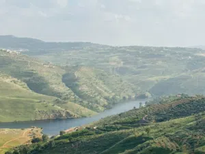 Farm Land for Sale in Jerash Al-Majdal