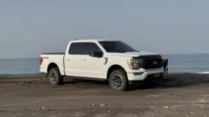 Used Ford F-150 in Muscat