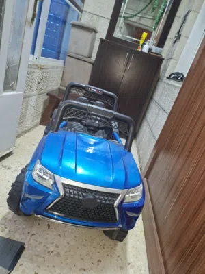 سياره ومرجيحه