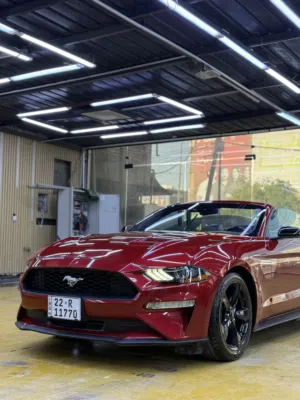Used Ford Mustang in Baghdad