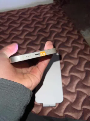 Apple iPhone 13 128 GB in Tripoli