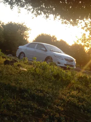 Used Toyota Corolla in Irbid