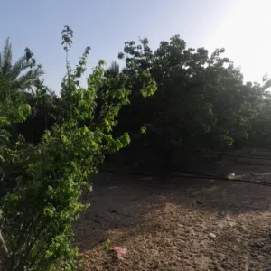 بي اسم الله توكلتو علي الله ارض للبيع الله يبارك استبدال او بيع