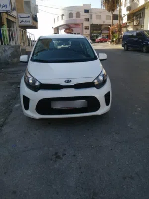 Used Kia Picanto in Amman
