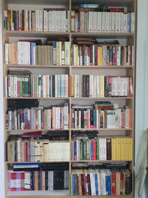 1000 كتاب تقريبا- ومكتبة تكاد تكون متكاملة في شتى أصناف المعرفة والعلوم...