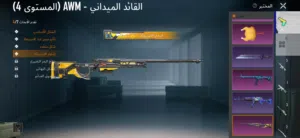 حساب ببجي موبايل ليفل 73