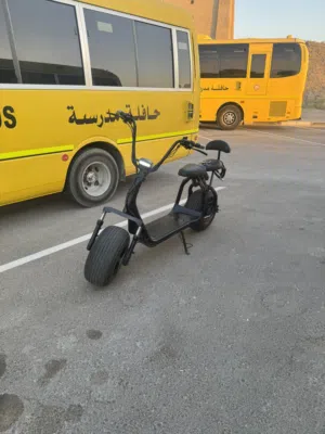 سكوتر هارلي 60v