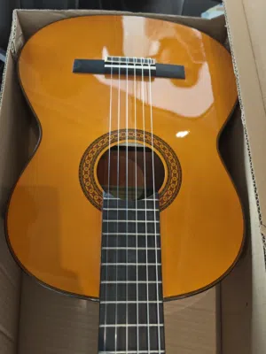 Yamaha C80/02