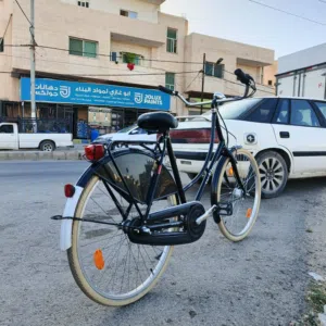 بسكليت أوربي