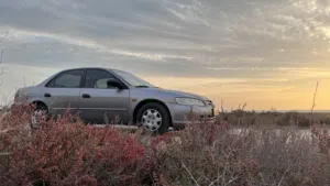 HONDA ACCORD 2001 GREY COLOR
