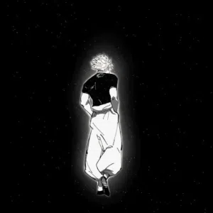 ايمن سالم 