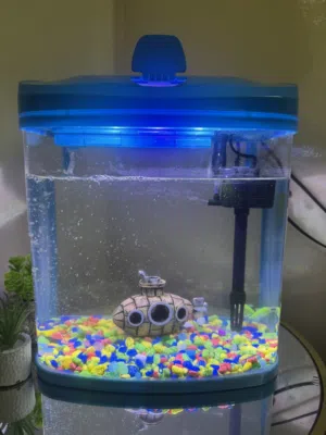 Fish Tank for sell