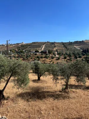 Mixed Use Land for Sale in Jerash Unaybah