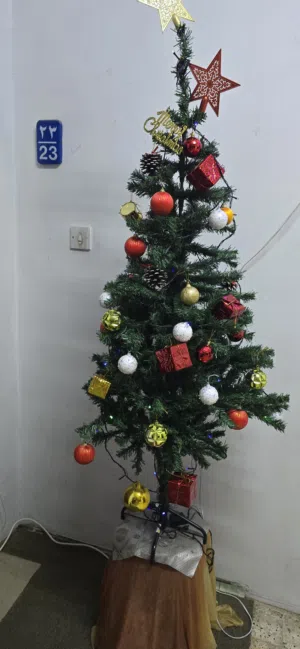 christmas tree  purchased before 10 days.selling tree,lights,decorations