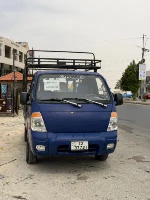بينجو للبيع 2010