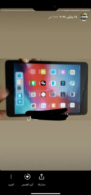apple-ipad-mini-2-16-gb-in-muscat