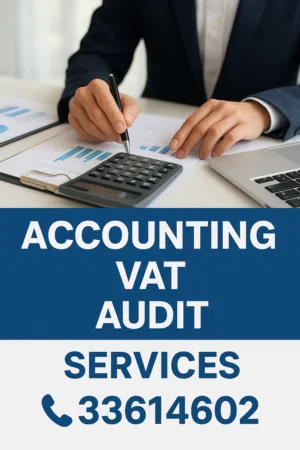 Professional Accounting and Auditing services