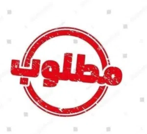 مطلوب حمام بلدي