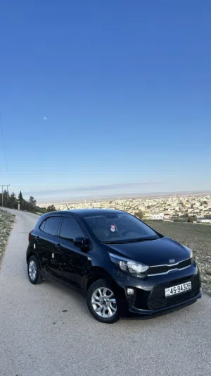 New Kia Picanto in Mafraq