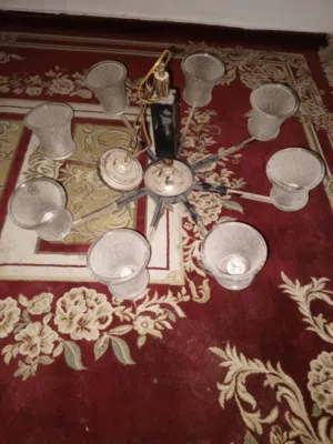تريا شبه جديدة