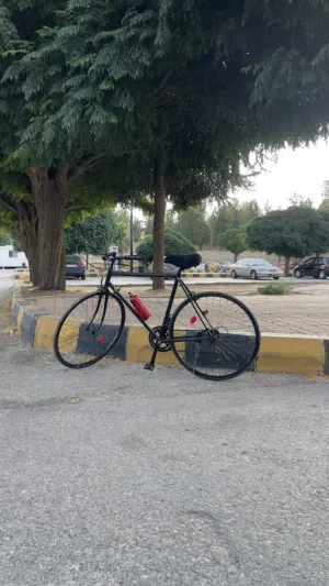 Classic style bicycle for sale