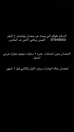 حصان اموره فوق طيبه بيعه سريعه.