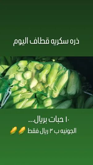 ‏خضار وفواكه‏4