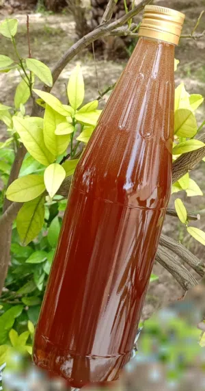 عسل السدر العماني   الوصف مهم جداً