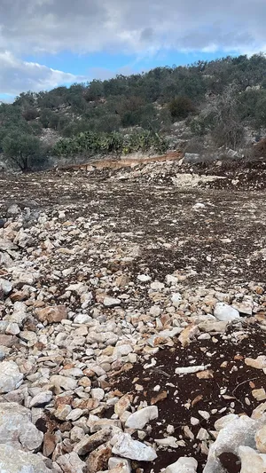 الاستخدام المتعدد . 900 م٢ . المالك3