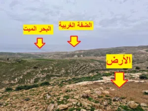 Farm Land for Sale in Madaba Mai'n