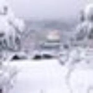 ابو داود ابو يابس