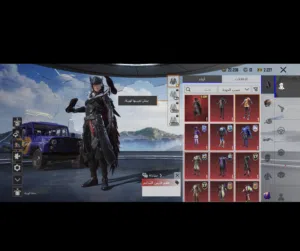Pubg Accounts and Characters for Sale in Muscat