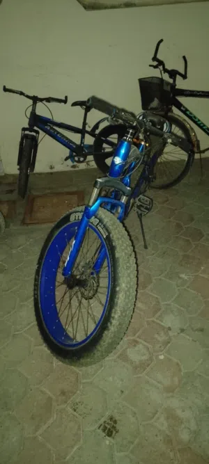 Exercise cycle, Evening Exercise big cycle